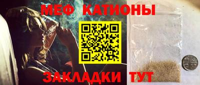 шишки Дубна