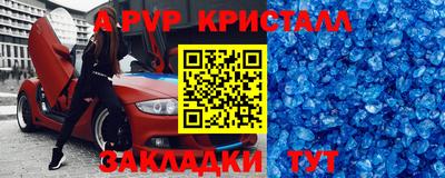 шишки Дубна