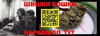 шишки Дубна