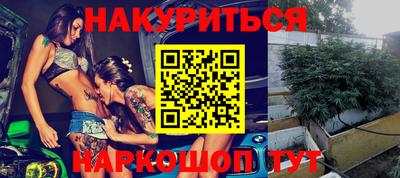 шишки Дубна
