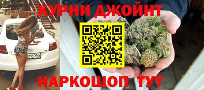 шишки Дубна