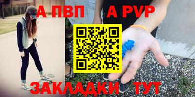 шишки Дубна