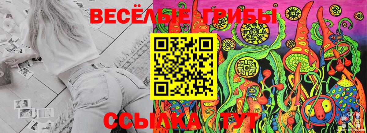 Псилоцибиновые грибы мицелий  Псилоцибиновые грибы MAGIC MUSHROOMS  Михайловск 