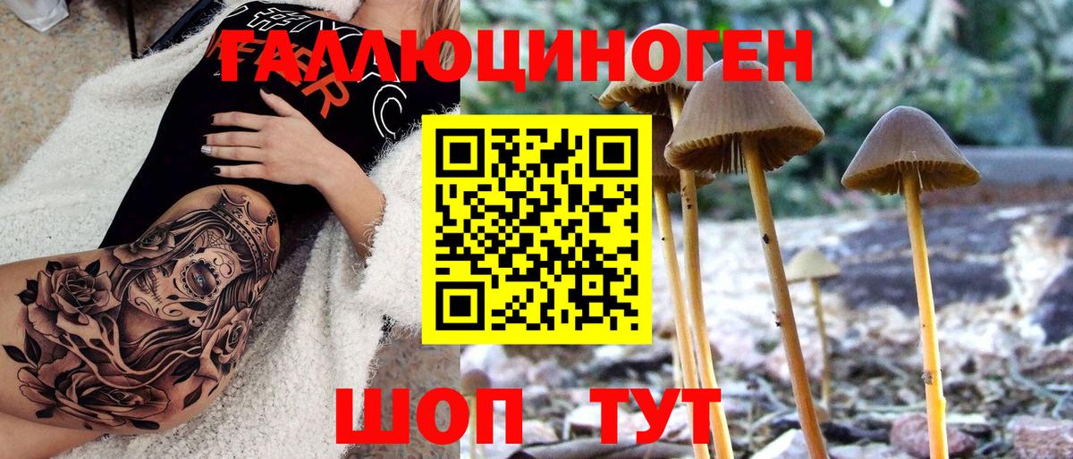 Галлюциногенные грибы мицелий Михайловск