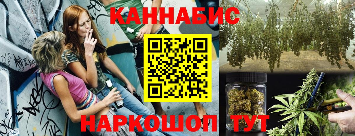 Михайловск  Марихуана Bruce Banner  Вход с VPN  Бошки марихуана ГИДРОПОН  Марихуана White Widow 